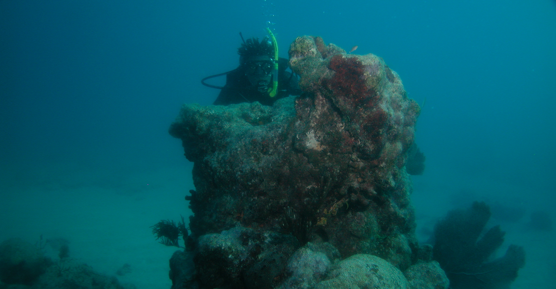 Scuba Training